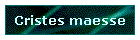 Cristes maesse