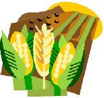 grain